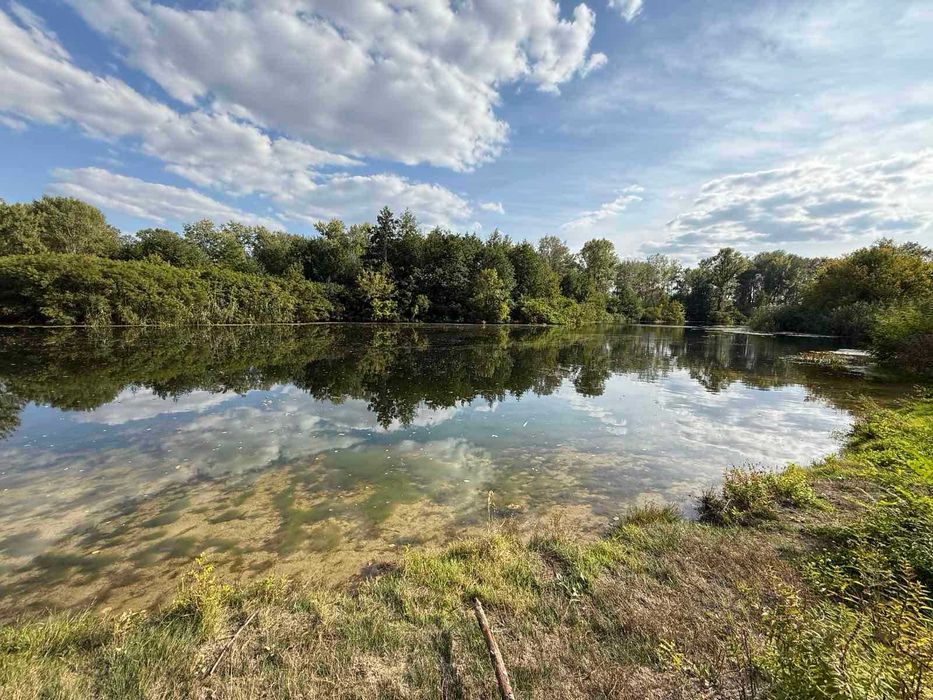 Фото ділянки