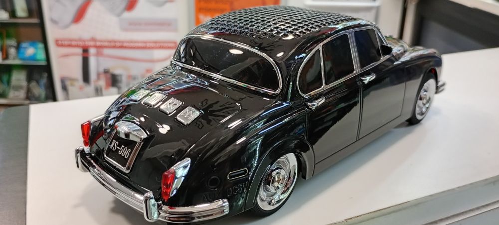 Głośnik auto WSTER WS-596