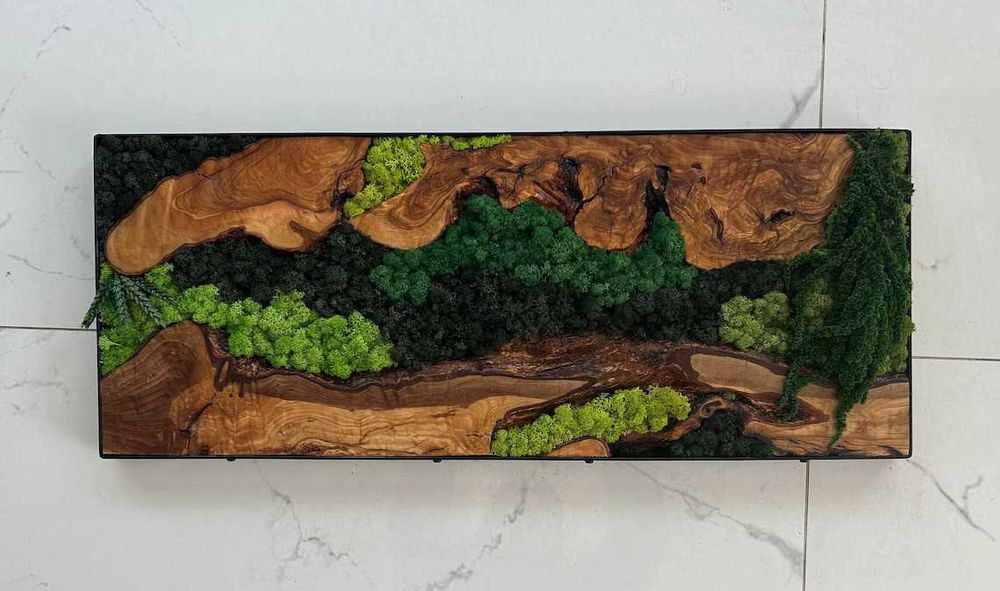 Arte de parede de musgo e madeira de oliveira