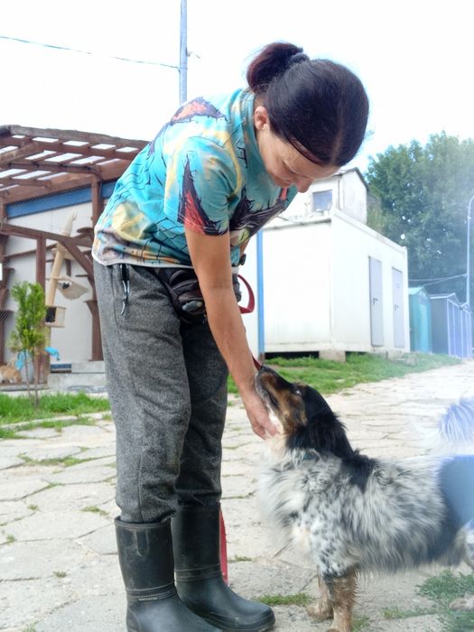 Pepper, lubi KOTY, mały. (FILMIKI)
