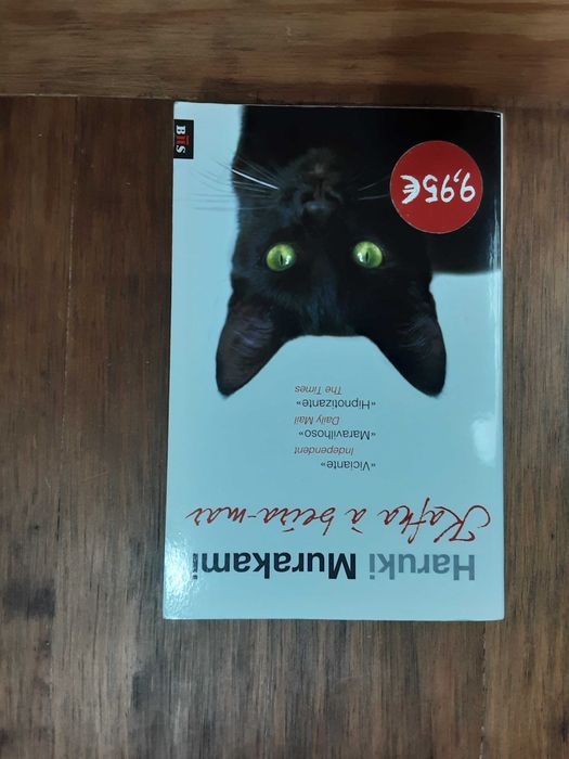 Lote de livros diversos