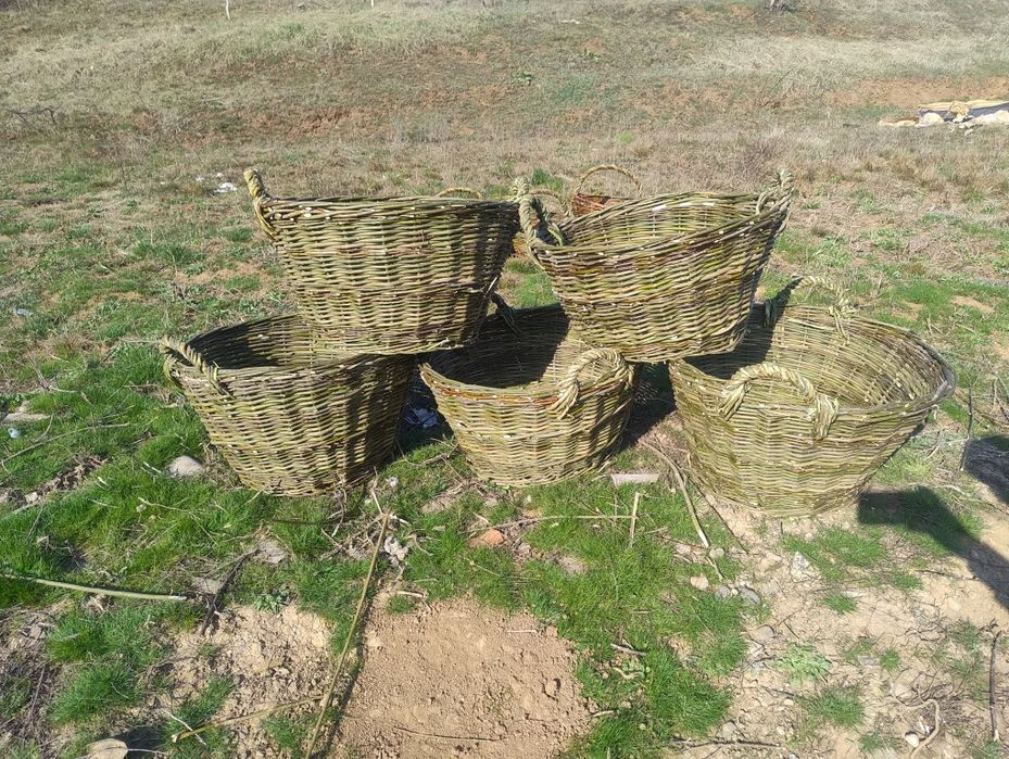 Кошарки малі великі з Верби