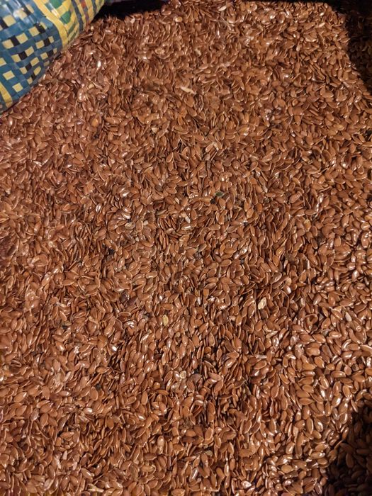 Len oleisty ekologiczny siemię lniane