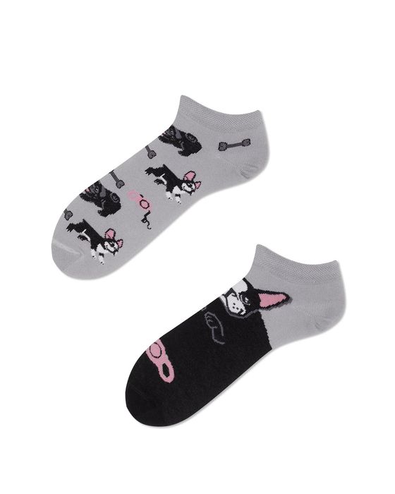 Stopki w pieski - Tiny Little Dogs Low - Many Mornings 43-46