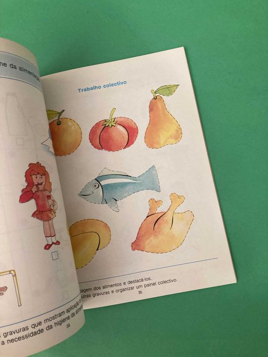 Livro Escola Primária Terra Amiga Meio Físico e Social 1ª Classe Livraria Avis Anos 80