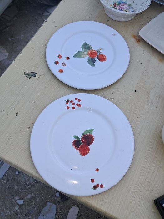 Dois pratos desenho de frutas