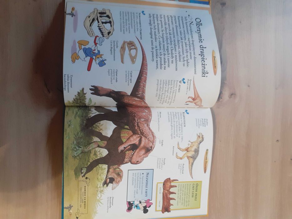 Dinozaury Encyklopedia Wiedzy Disnay