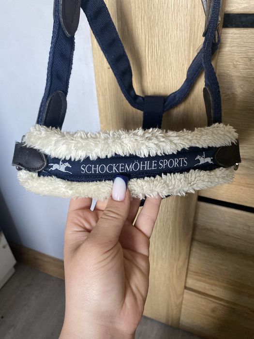 Kantar schockemöhle