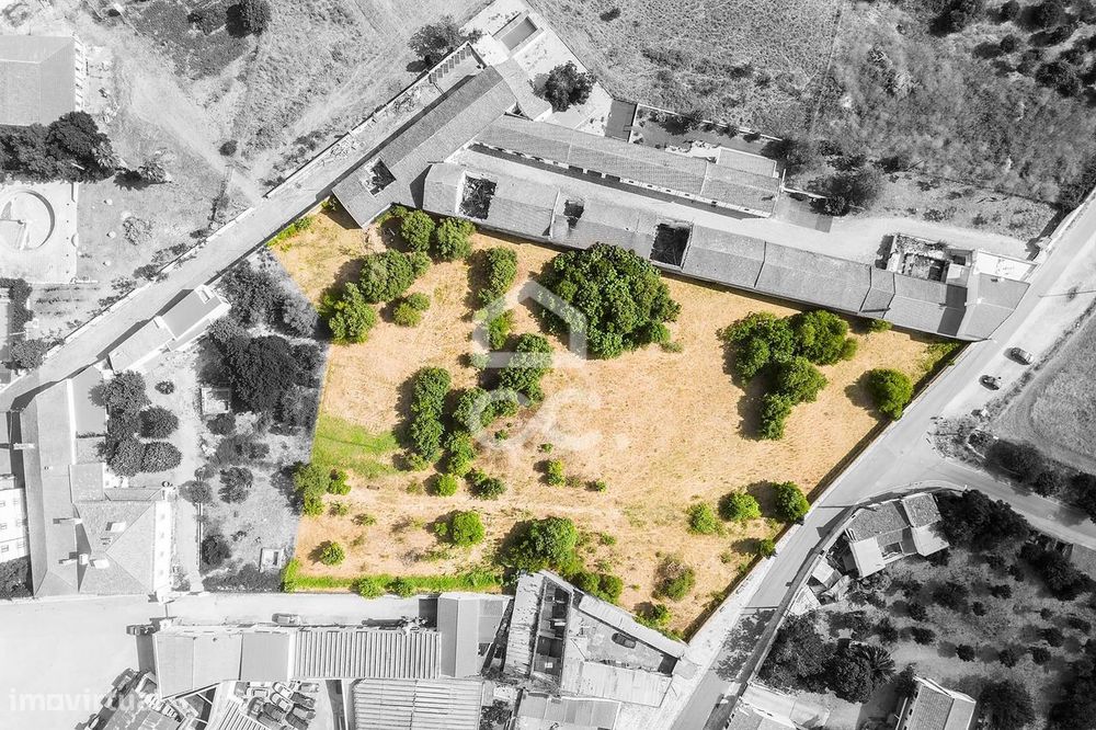 Terreno de 7 169 m²  c/ Viabilidade de Construção | Alvito, Beja