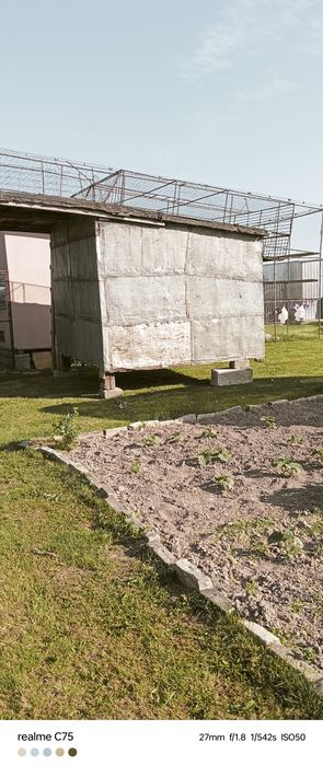 Gołębnik dla hodowcy