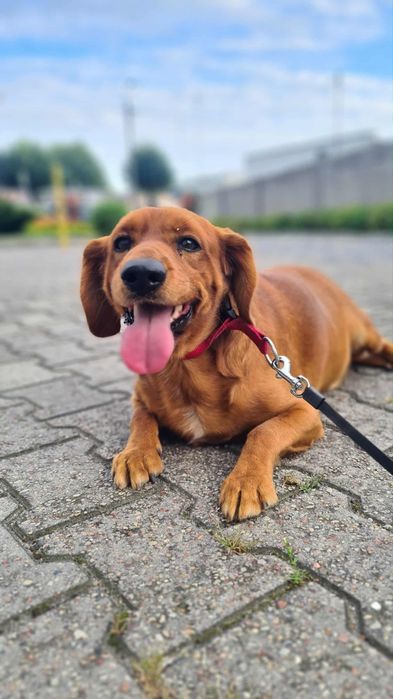 Karmelek i jego biedna mama