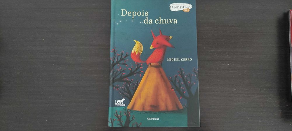 Depois da chuva, Miguel Cerro