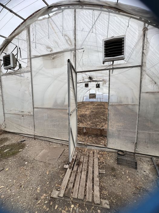 Сдам в аренду землю 6 Га на поливе