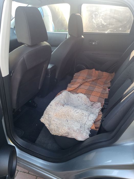 Samochód Nissan Qashqai