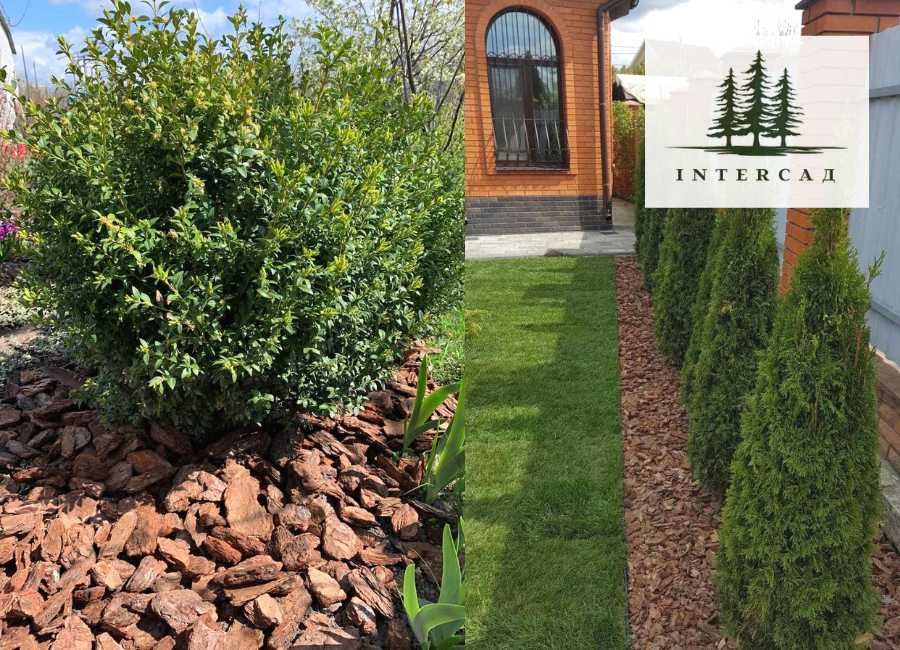 Комплект 2 мішки Кори СЕРЕДНЯ/ВЕЛИКА 6/12см-3/6см! ОЛХ доставка!