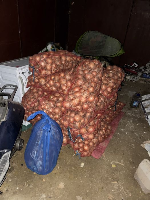 Продам Цибулю Фасована