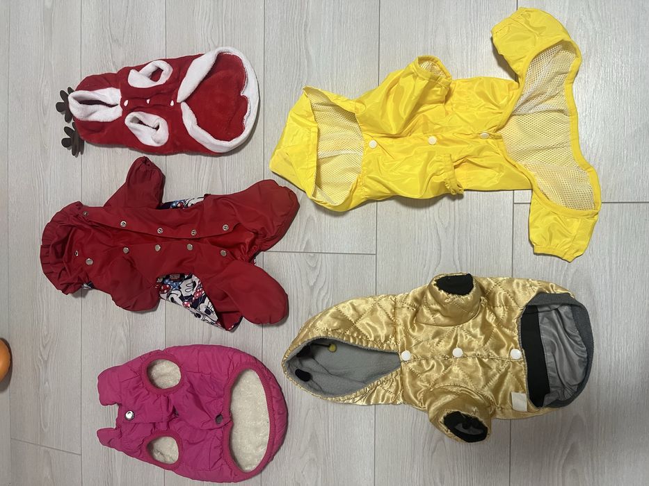 Одяг для собачки