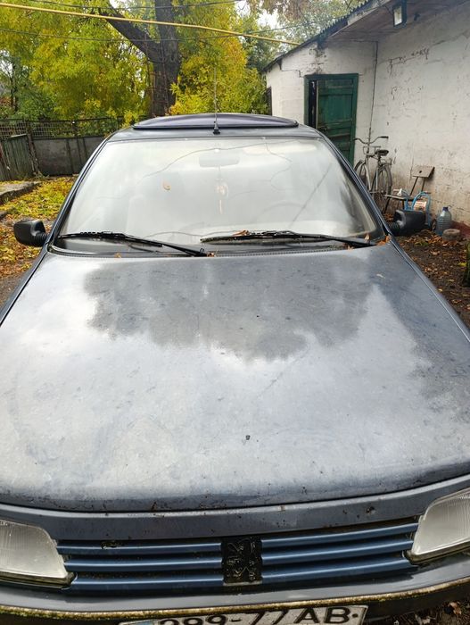 Peugeot        405.