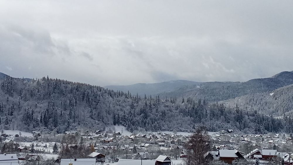 Відпочинок в Карпатах