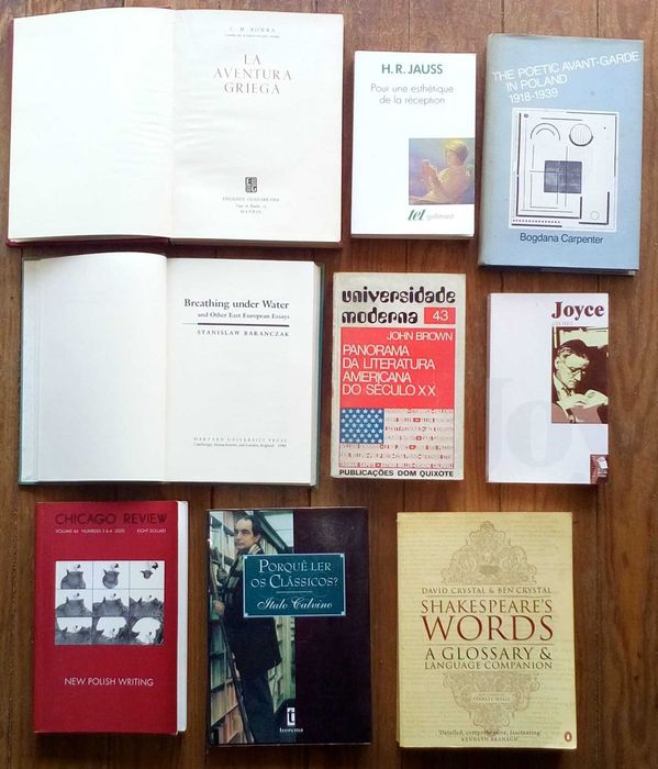 Ensaios de Literatura