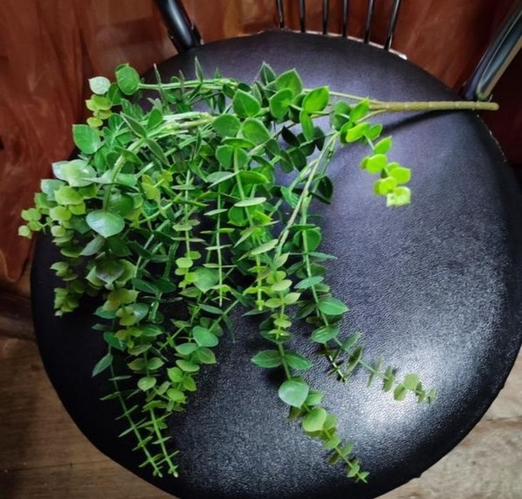 Искусственная штучна зелень цветок