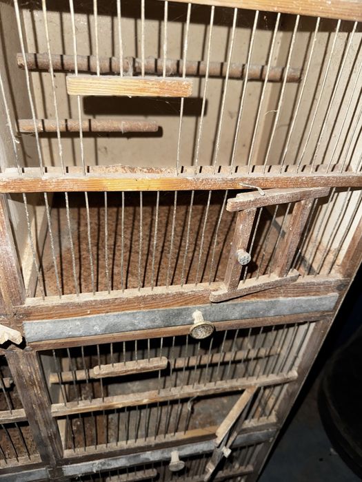 Regał hodowlany , regaly hodowlane