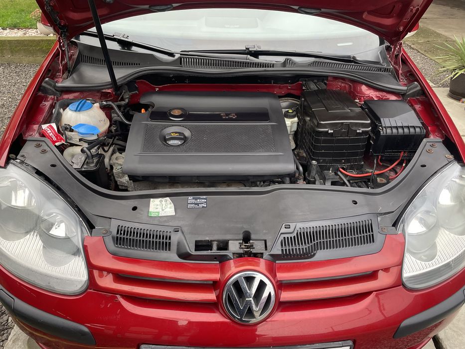 Volkswagen Golf . 1,4 mpi . 2003 рік. Червоний металік
