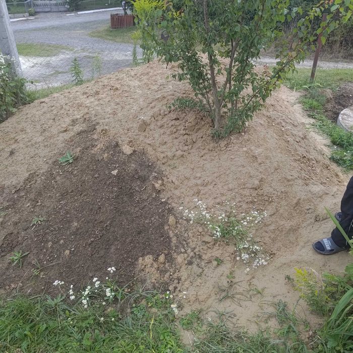 Віддам Грунт чистий з рівненської області. САМОВИВІЗ.