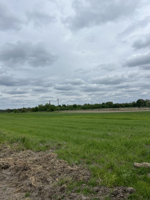 Готовий обʼєкт під агробізнес — бери й запускай!