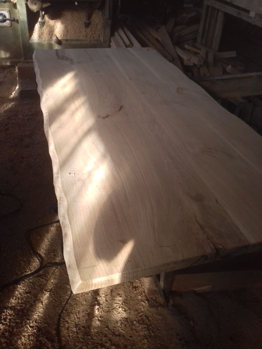 Dąb jesion trepy promocja