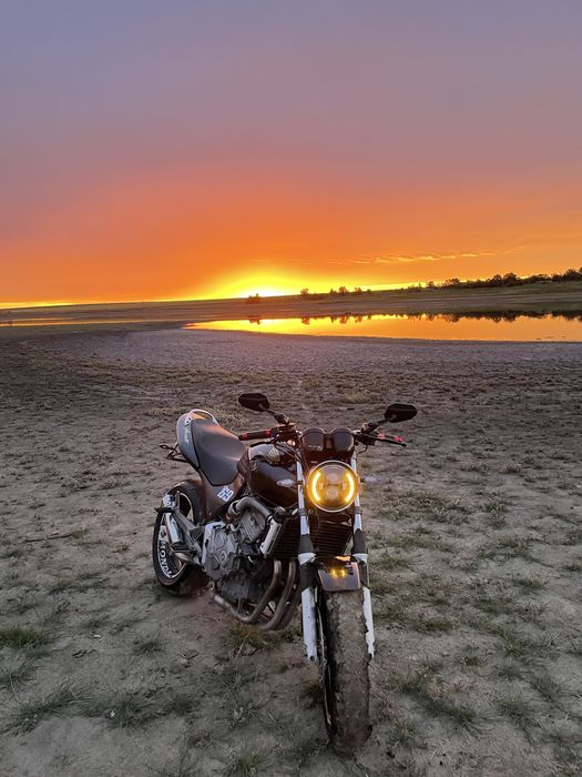 Honda hornet 600