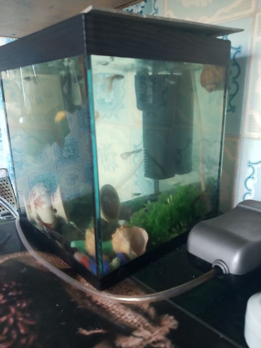 Продам аквариум на 5ть литров