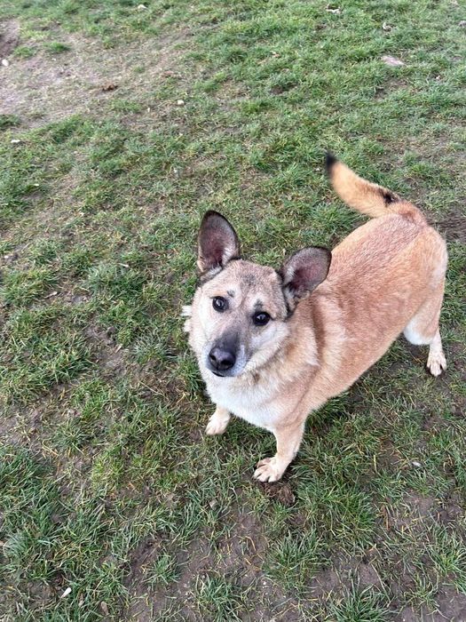 Czy ktoś jeszcze pokocha Maniusia?