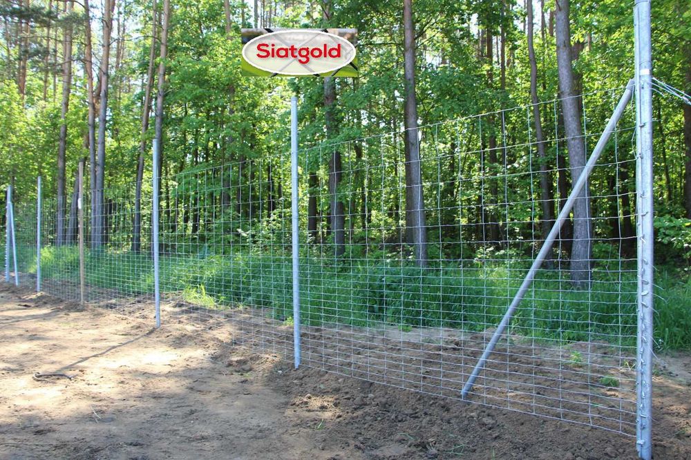 Siatka Leśna Ceny PRODUCENTA tylko 160zł za 50 mb z WYSYŁkĄ Ocynkowana