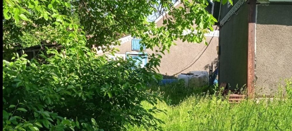 Здам  два будиночки з садом с Клішківці