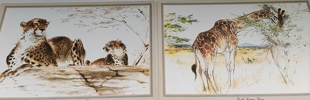 Reproduções de Ralph Thompson – Safari África