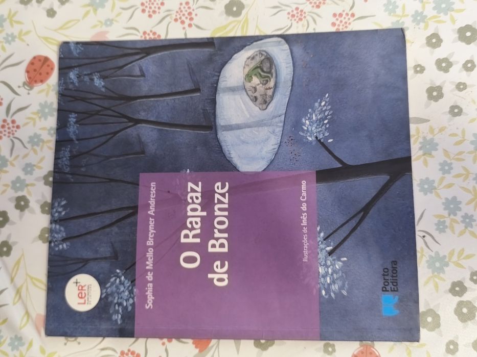 Livros de leitura obrigatória do 5°Ano