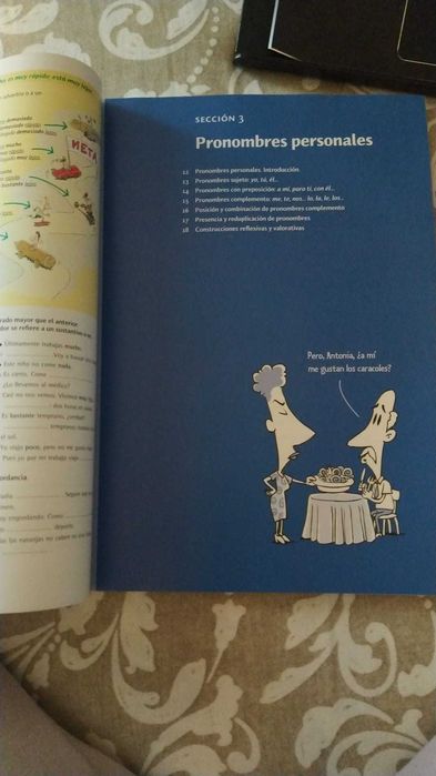 Gramática básica del estudiante de español A1-B1