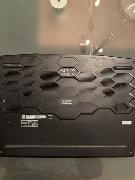 Portátil MSI GE66 raider 10sf
