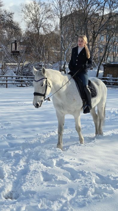 Фотосесія з конями
