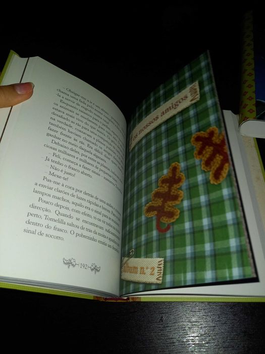 Livro "Fairy Oak - O Segredo das Gémeas"