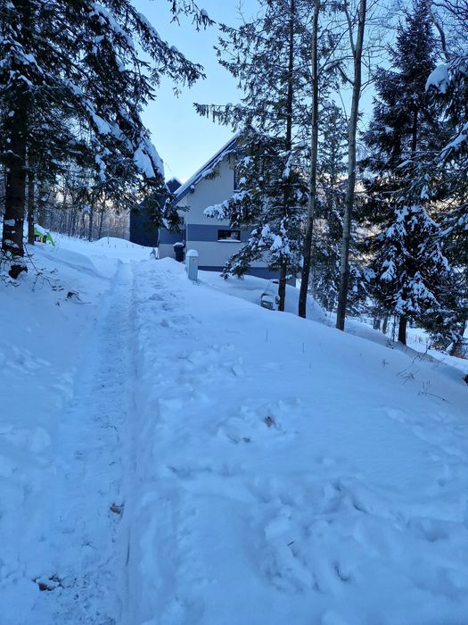 Ferie,Weekendy, Domek w ,,Brzozach,, na Wyłączność