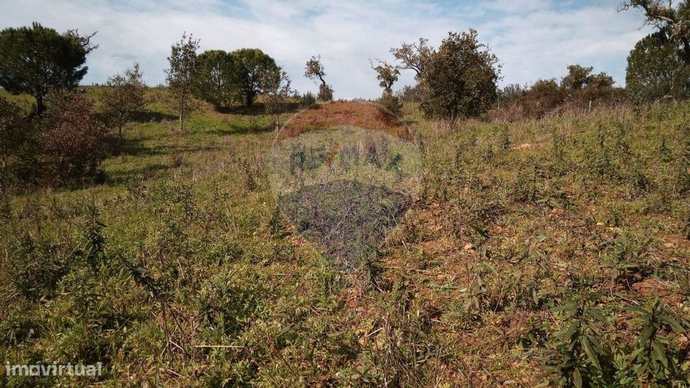 Terreno  para venda — Abela, Setúbal