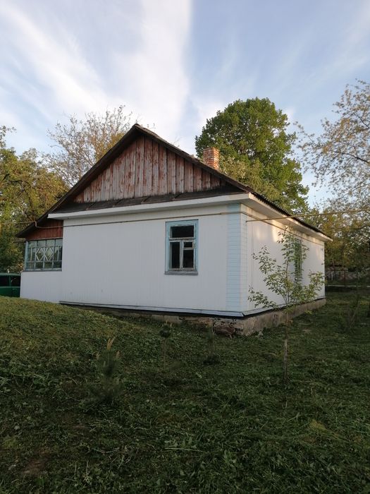 Продам будинок в селі Витків