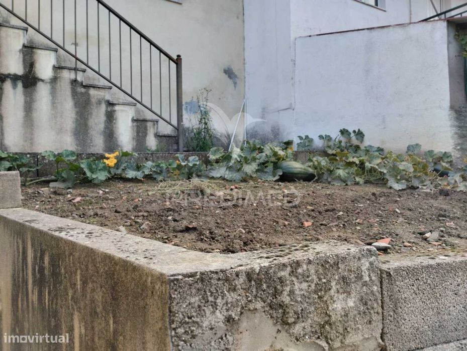 Terreno Misto