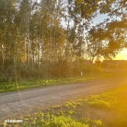 Działka budowlana Naborowo 47 km od Warszawy, wydane warunki zabudowy,