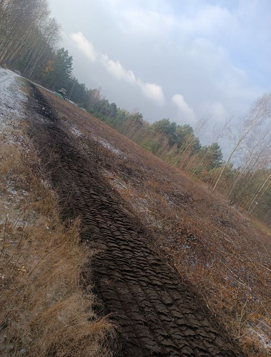 Mulczer Wgłębny Karczowanie Rekultywacja Działek Wycinka Drzew