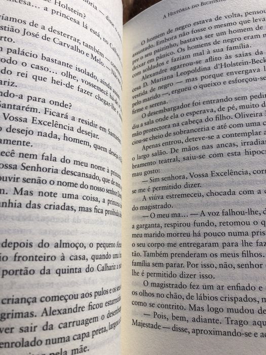 A História do Bichinho-de-Conta de Tiago Rebelo (PORTES GRÁTIS)