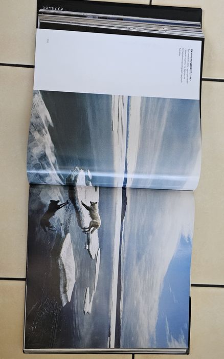 Самые лучшие фотографии мира
