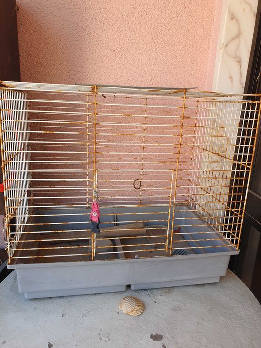 Gaiola para doação
